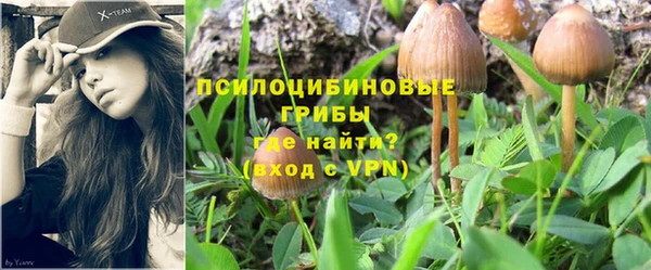 МДПВ Щучье