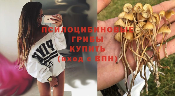 дмт Ладушкин