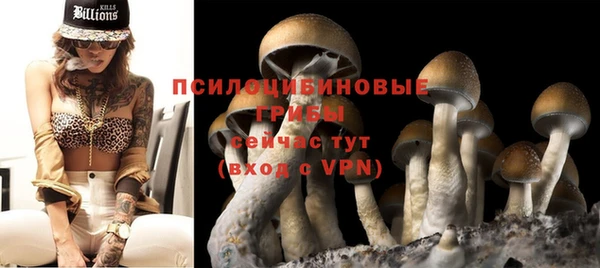 дмт Ладушкин