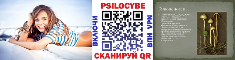 даркнет Telegram  закладки  Хадыженск  Псилоцибиновые грибы GOLDEN TEACHER  kraken онион 